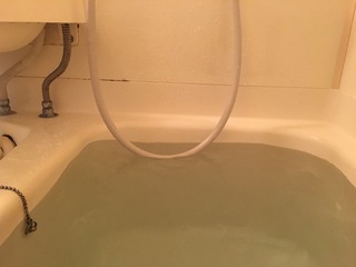 image.jpeg